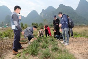 凝心聚力，攜手前行 | 2024桂林山水趣游之旅，華工環(huán)源團建旅游圓滿收官插圖4